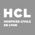 Agence web pour hospices civils de Lyon
